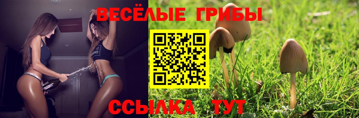 Семёнов  Псилоцибиновые грибы Psilocybine cubensis  где продают   Вход с VPN 